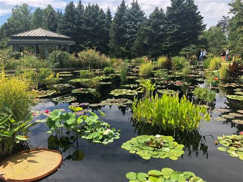 Visit Denver Botanic Gardens With Me Grace Grits And Gardening