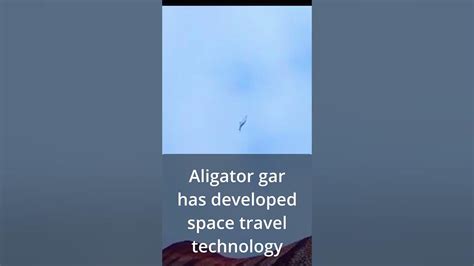 Prior Extinction fish let's the voice of love take him higher 😔💪🥲 - YouTube