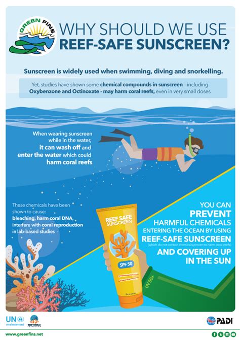 reef safe sunscreen what you and your customers need to know laptrinhx news