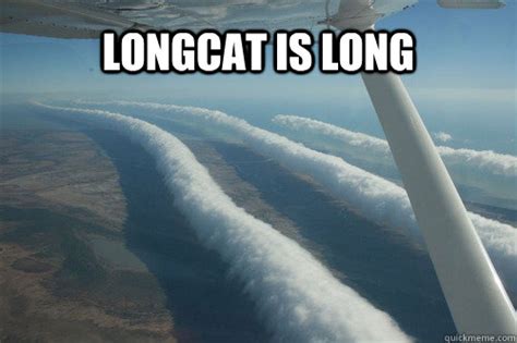 Longcat Is Long Longcat Is Long Quickmeme