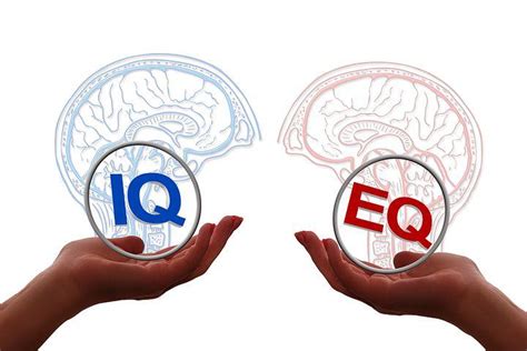 Understanding The Four Types Of Intelligence Iq Eq Sq And Aq