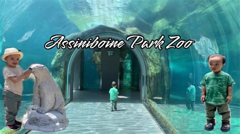 Assiniboine Park Zoo ‘22 Life In Winnipeg Youtube