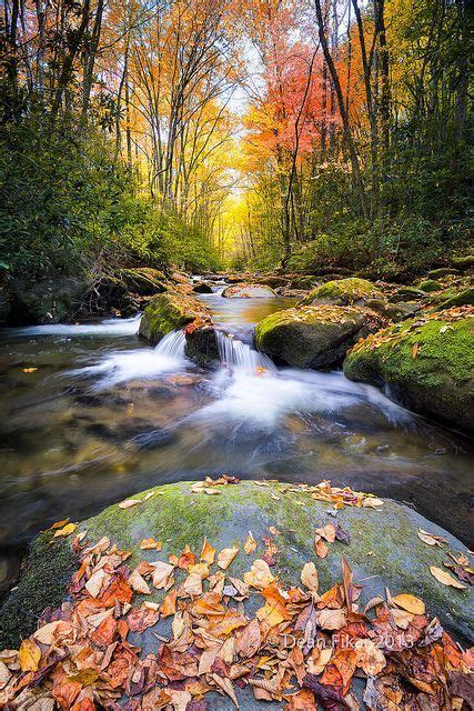 ~~silky Autumn Stream In The Smokies ~ Little River Great