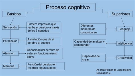 Mapa Conceptual Proceso Cognitivo