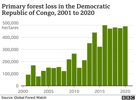Deforestasi Negara Mana Saja Yang Paling Banyak Membabat Hutan Bbc