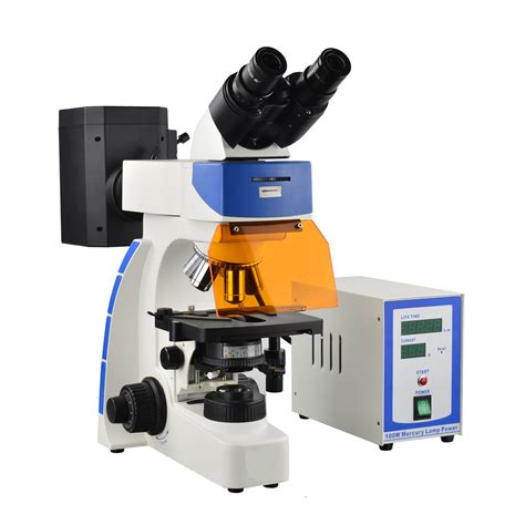 Xuf100 Upright Research Fluorescence Microscope Amada Microscope