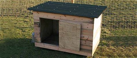 Maybe you would like to learn more about one of these? Domestic Duck House Plans Free