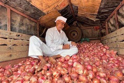 Why Onion Price Is High In India And When Will Rates Go Down News18
