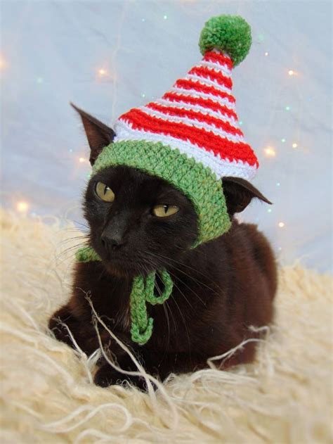 Elf Hat For Cat Christmas Pet Costume Christmas Kitten Etsy