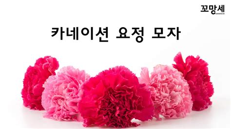 오랫동안 지속되는 매력적인 장식을 만들 때 alibaba.com의 카네이션 꽃 머리. 꼬망세 카네이션 축제 카네이션 요정 모자 - YouTube