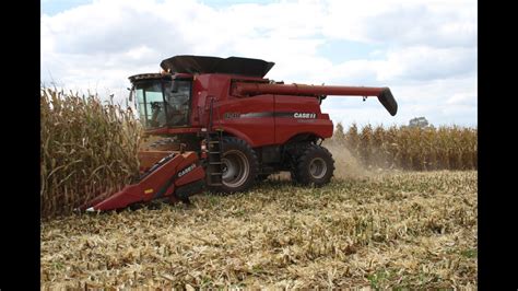 Case Ih 8240 Combines Shelling Corn Youtube