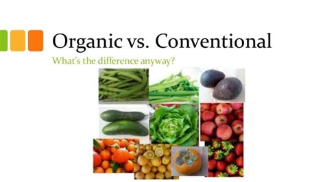 Organic Vs Conventional Whats The Difference Anyway