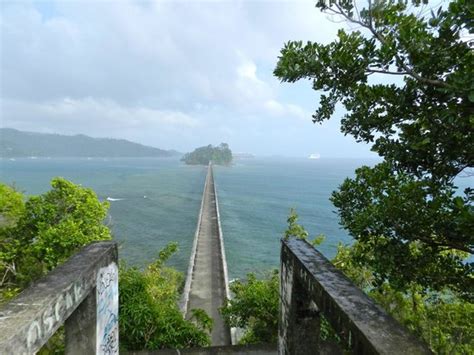 looking at the main bridge to the island picture of samana bay samana province tripadvisor