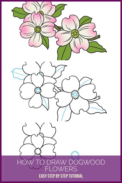 Your favourite drawing marker or pencil; Flowers Drawings Inspiration : Learn How to Draw Dogwood ...