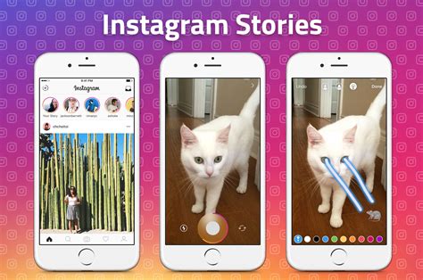 The Ultimate Guide To Instagram Stories Ads 2024 Starter Story