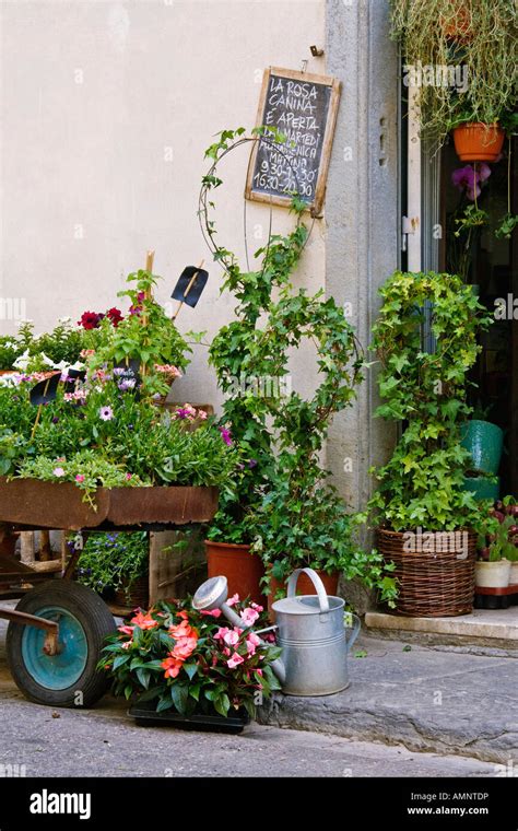Flower Shop Florence Italy Stock Photo Alamy