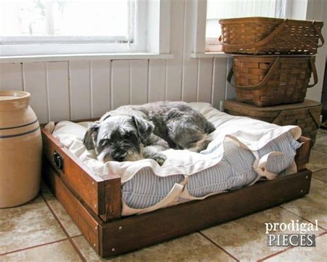 16 Diy Dog Bed Designs Custom Build A Bed For Your Pooch