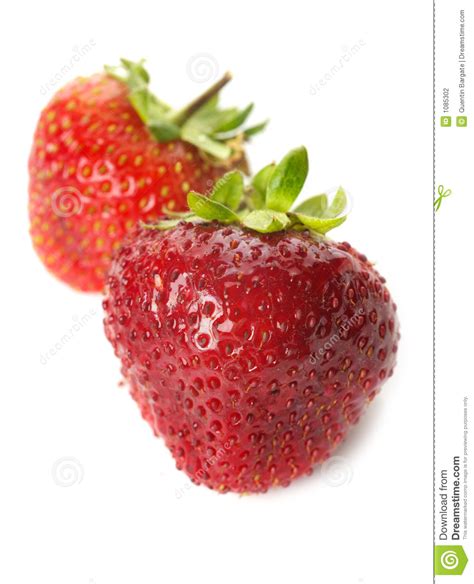 Fresh Ripe Strawberries Isolated Stock Photo Image Of Ripe