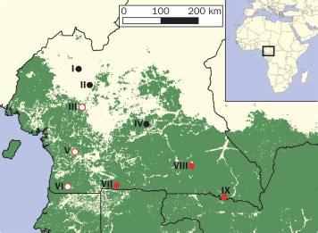 Naturally acquired simian retrovirus infections in central African