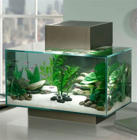 Aquarium Design Meuble Déco Fish Tank Decorations Aquarium Design