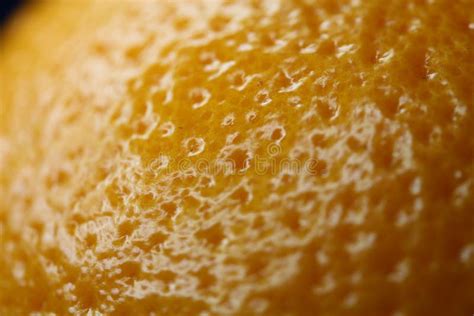 Oranges Skin Close Up Stock Photo Image Of Ripe Natural 4290772