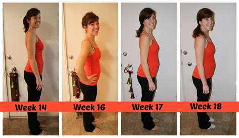 A Better Life With Burgers Second Trimester Update Weeks 14 18