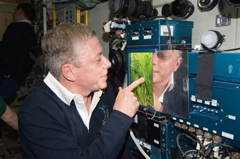 Plants A Lab Aloft International Space Station Research