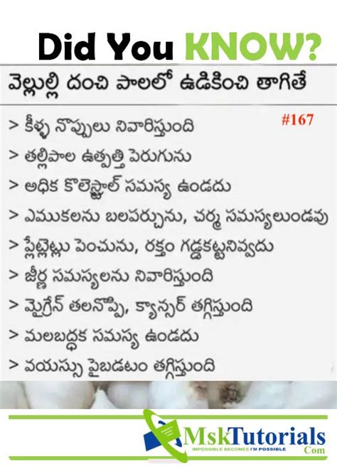 top 1000 amazing and unbelievable facts in telugu unbelievable facts facts did you know