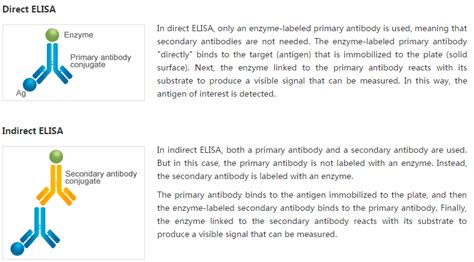 Bosterbio provides a detailed elisa principle, types of elisa methods, and a comprehensive elisa comparison. What are the different types of ELISA?