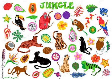 Cartoon Tropical Rainforest Jungle Animals Fruits Flowers Leaves Set