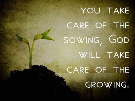 Sowing Seeds Seed Quotes Verse Quotes Bible Quotes Quotable Quotes