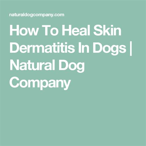 How To Heal Skin Dermatitis In Dogs Skin Dermatitis Skin Healing