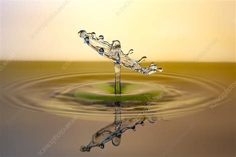 Water Drop Impact High Speed Photograph Stock Image
