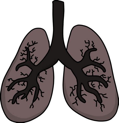 Lung Clipart Black And White Clip Art Library Sexiz Pix