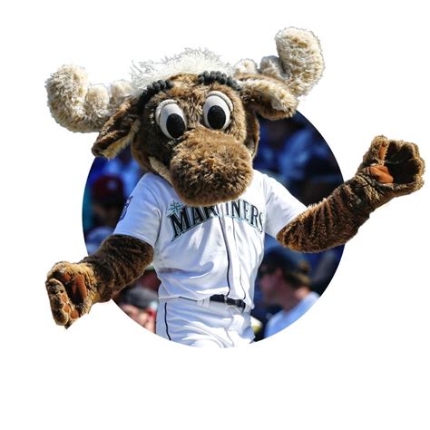 Mariner Moose On Twitter Hide And Seek Was Never Really My Game