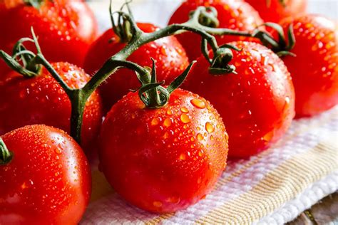 Can You Grow Campari Tomatoes From Seed Ideal Conditions And Tips
