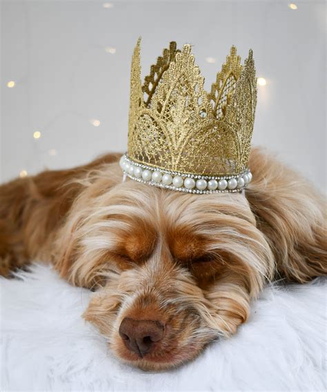 The Golden Divine Dog Crown Dog Party Hat Dog Wedding Attire Dog
