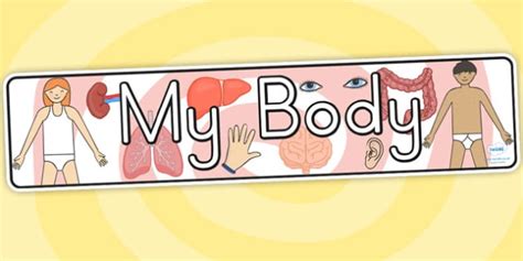 My Body Banner Teacher Made