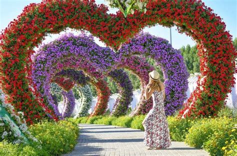Find opening hours for wedding flowers near your location and other contact details such as address, phone number, website. Organic Gardening Classes Near Me Refferal: 8387250918 # ...