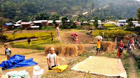 Hardworking Village People Life Rural Affairs Nepal Youtube
