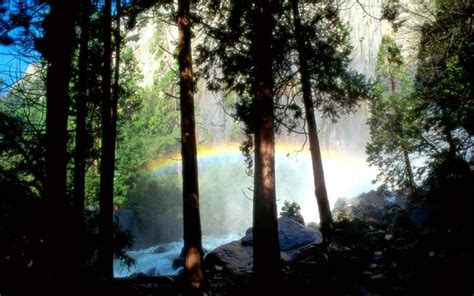 Hd Rainbow In A Forest River Wallpaper Download Free 52206