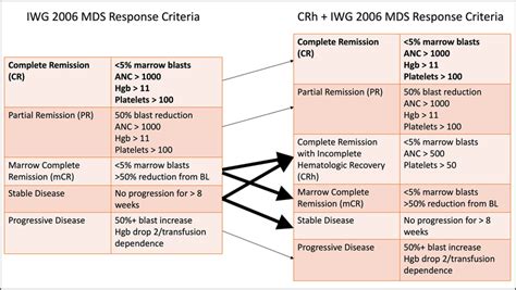General Classification Of Responses According To IWG 2006 Response