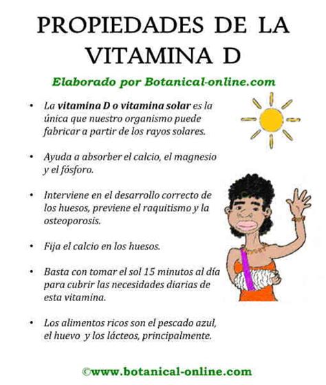 Vitamina D Y Sus Formas Para Obtenerla 46 Off