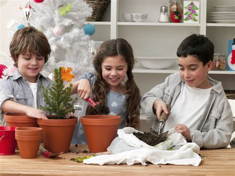 Check spelling or type a new query. How to Grow an Indoor Garden - Cache Valley Family Magazine