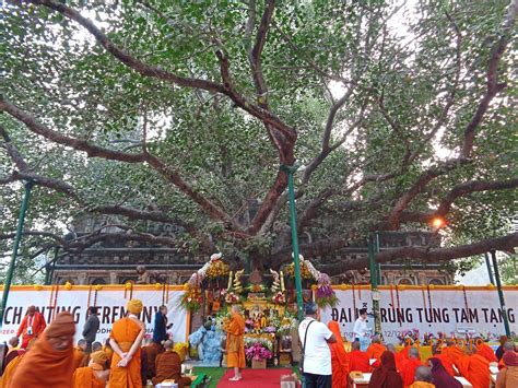 Malaysian Embarks On A Trip Of Enlightenment In Bodhgaya India The Star