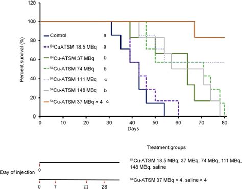 Survival Curves In In Vivo Treatment Study With 64 Cu Atsm Survival