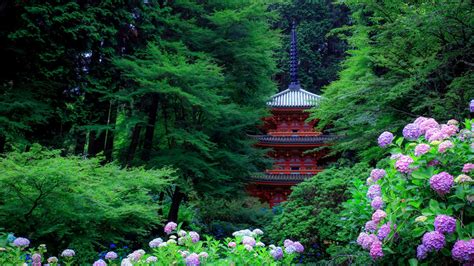 Garden Around Hydrangea Japan Pagoda With Purple Flowers And Trees 4k