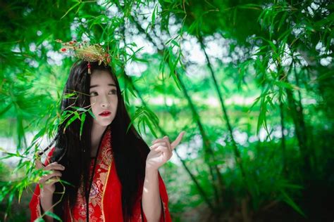premium photo portrait of beautiful asian woman wear ancient chinese dress style at the bamboo