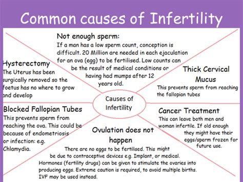 Causes Of Infertility Teaching Resources