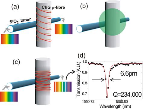 Photoinduced 3d Optical Cavities In Chalcogenide Glass